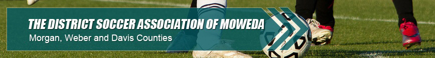 2013 MoWeDa District Fall League banner